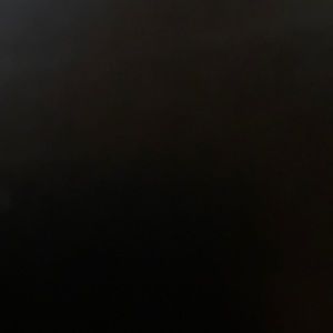 Meet your Posher, Daisy